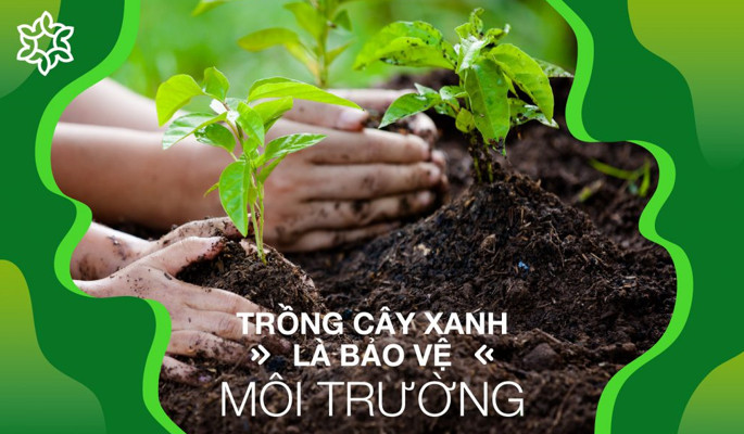 Triển khai công tác trồng rừng, trồng cây xanh phân tán năm 2024 của UBND thành phố Buôn Ma Thuột.